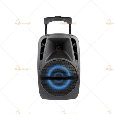 China Trolley 8 Inch Bluetooth PA Speakers / Bluetooth Portable Sound System for sale