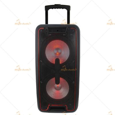 China Double 10 inch speaker/ Plastic speaker/ speaker with light for sale