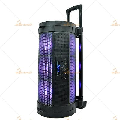 China Pro Audio 15 Inch Bass Bluetooth Trolley Speaker Sound System For Instrument for sale