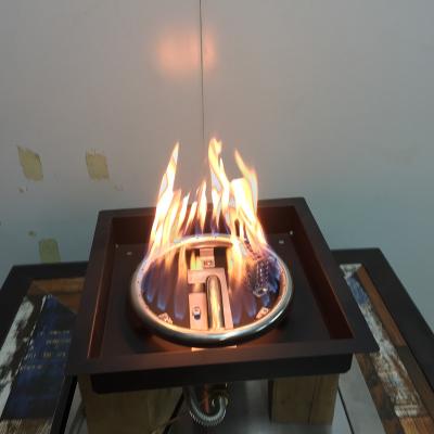 China bio fireplace/outdoor gas fireplace/indoor fireplace for sale