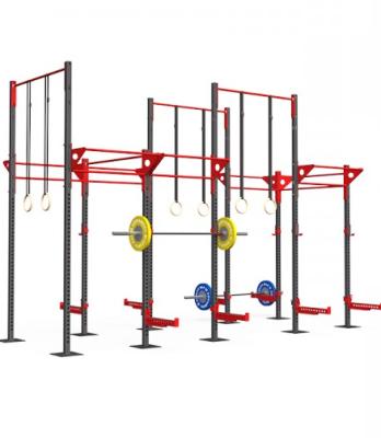 China Universal Plant for CrossFit Rigs, Crossfit Racks with Laser Numbers and Laser Logo (CF Rig/Rack) for sale