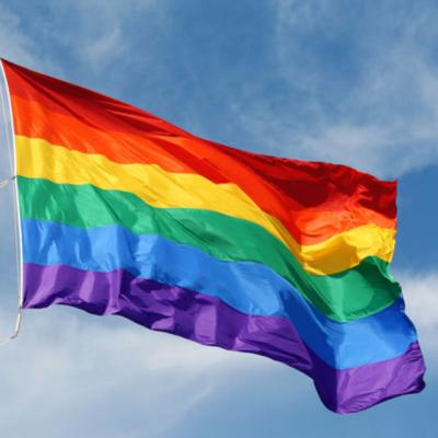 China Polyester Multicolor FLYING Pride Rainbow Flag Cheerful Promotional Flight for sale