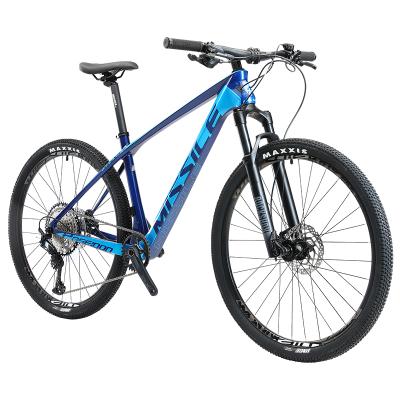 China High quality carbon fiber carbon fiber MTB 12 speed bicycle mountain bike for sale