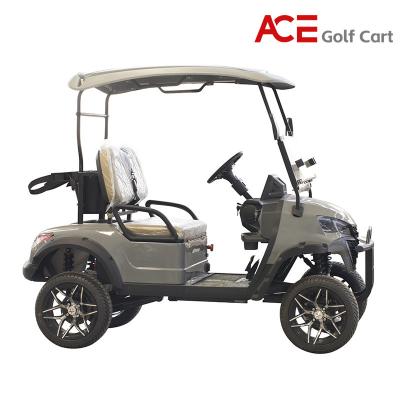 China Steel 2 Seater Golf Cart 48V 2 Passenger Sightseeing Electrical Golf Car for sale