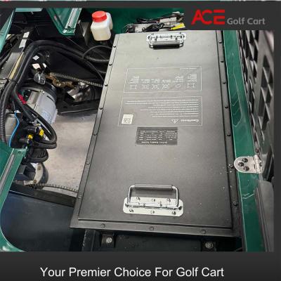 Chine Chargeur 48V 150AH et batterie de panier de golf de conception compacte 22A à vendre