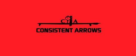 Proveedor verificado de China - Consistent Arrows