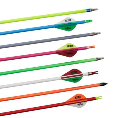 中国 Fluorescent Red/Orange/Green/Blue/White/Gray/pink Color Carbon arrows in Spine 400/50/600/700/800/1000 販売のため