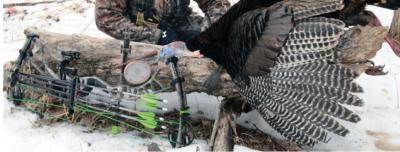 China Temporada de caza de pavo y venado Flechas Mirco (.165