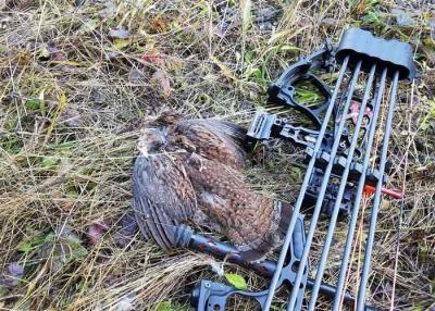 China Kohlenstoff-Jagd-Pfeile der Sicherheits-100% reine, Sport-im Freien Kohlenstoff-Schießen-Pfeil zu verkaufen