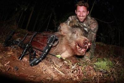 China Hohe Genauigkeits-Kohlenstoff-Jagd-Pfeile, Kohlenstoff-Faser-Schießübungen-Pfeile zu verkaufen