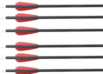 China Carbon Fiber Child's Arrow For Practice  , Youth Beginner Practice Arrows for sale