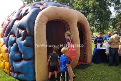 China Inflatable Mega Brain Model Organs Exhibition Giant Human Big Brain Tent zu verkaufen