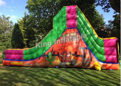 China Bull Theme Bright Color Inflatable Dry Slides With 25 Feet Long For Child And Adult for sale