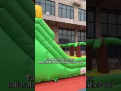 Cheap Price Commercial Grade PVC Inflatable Water Slides with Pool