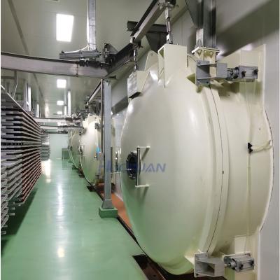 China Medicine Processing CE factory food automatic industry vacuum freeze dryer machine for food for sale