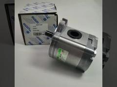 Gear pump 4276918/ 307002-4650