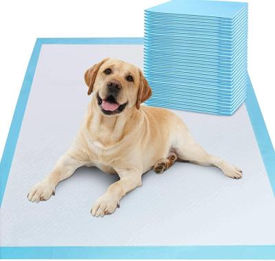 China 2021 Hot Selling Super Strong Waterproof High Absorbent Material Pet Training And Puppy Pads for sale