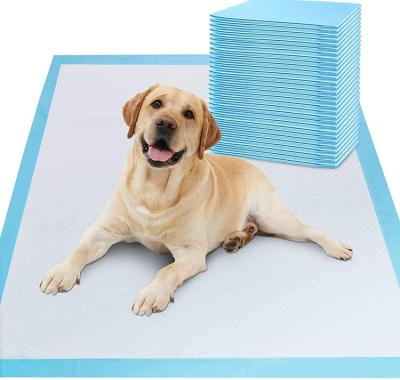 Κίνα Puppy pads Wee Wee Pads For Dogs Disposable Pet Pad προς πώληση