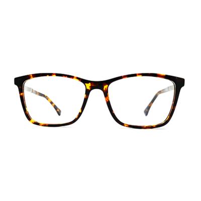 China Eyewear Frame Men Women Square Eye Glasses Acetate Glasses Big Size Optical Sight for sale