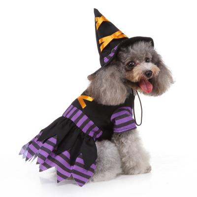 China Viable Halloween Pet Witch Costume and Hat for sale