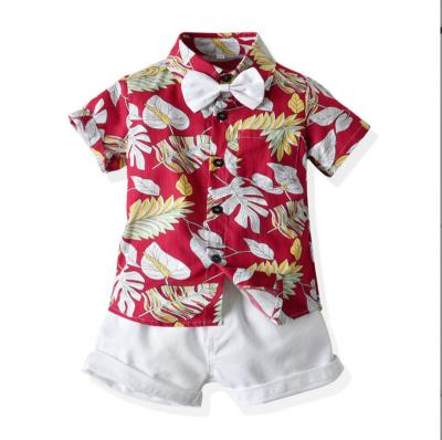 China Multicolor Casual Floral Boy's Beach Wear Shirt Shorts 2 Piece Set Summer Two Piece Short Sleeve Casual Baby Kids Clothes for sale