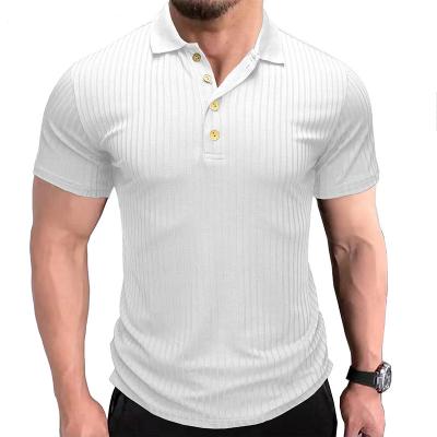 China Anti-wrinkle Factory Supply Summer Short Sleeved Cotton Men'S Polo T-Shirt Set for sale