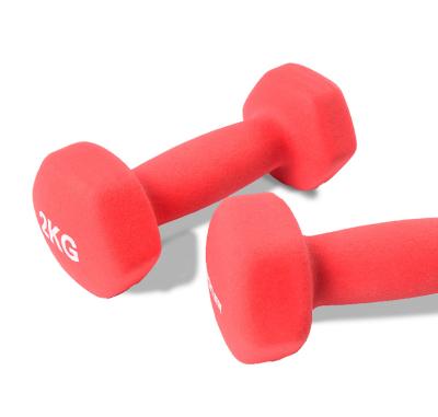 China Universal High Quality Finest Price Custom Frosted Vinyl Iron Dumbbells for sale