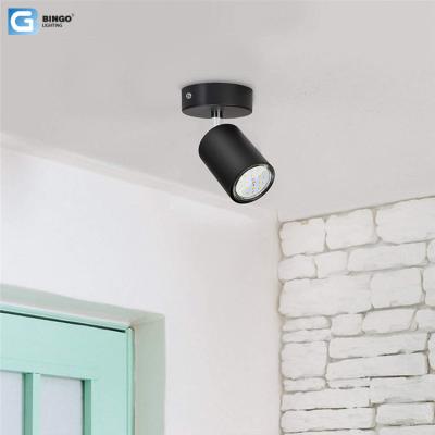 China Hotel Indoor Home Single Head High Brightness Shop Outdoor Mounted Projector Led Ceiling Down Projector for sale