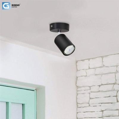 China High Brightness 48 Hours Spot Delivery Hotel Indoor Home Single Head Store Outdoor Mounted Projector Led Ceiling Down Projector for sale