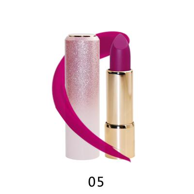 China Waterproof 2022 Waterproof And Moisturize Lipstick Nude Nude Vegan Lipsticks Logo Customize Matte Private Label Brand for sale