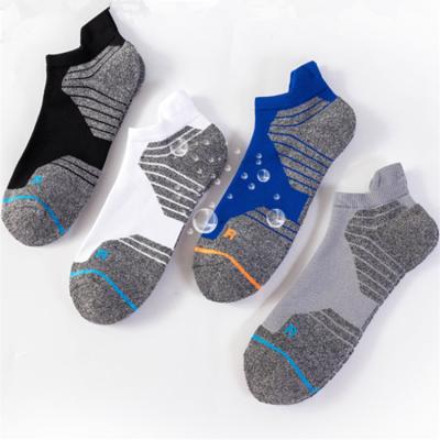 China Breathable Antibacterial Breathable Combed Cotton Terry Low Cut Socks Cushion For Basketball Sports for sale