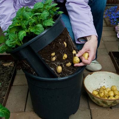 China Modern Design Modern Potato Buckets OEM Set Potato Busket Garden Nursery Garden Potato Grow Plastic Planting Container Bucket for sale