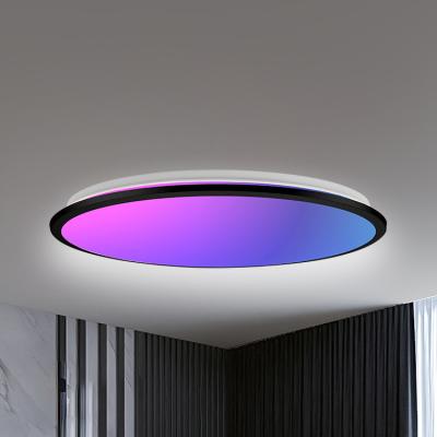 China ODM OEM Ceiling Light Contemporary High Bright Indoor Light Luxury Ceiling Lamp for sale