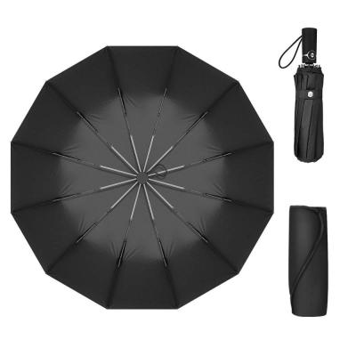 China 12 Folds Windproof Open And Close Ribs Automatic Travel Umbrella Wholesale Promotional Special Customized for sale