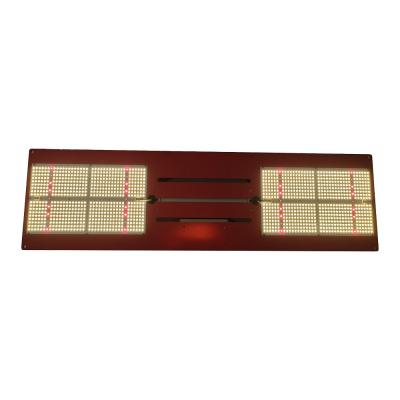 China Seed Starting 2021 QB648 Ex Led Hot Selling Board 350watt To Grow Light For Indoor Plants for sale