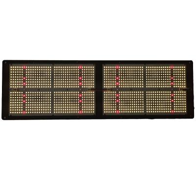 China Seed starting 260w eg led dimmable led grow light for 2XQB648 panel for sale