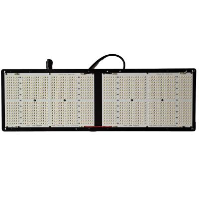 China Seed Seeding High Quality Samsung LM301H QB648 260W LED Grow Light For Horticulture Lighting for sale