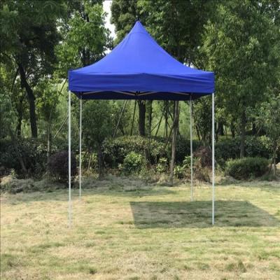 China Durable And Favorable Waterproof Folding Gazebo Pergola for sale