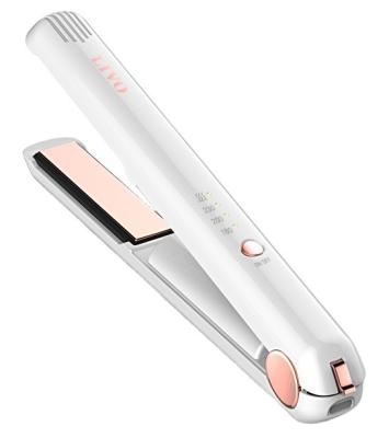 China Hotel Good Quality Wholesale Customized Rechargeable Ceramic Flat Iron Hair Straightener for sale