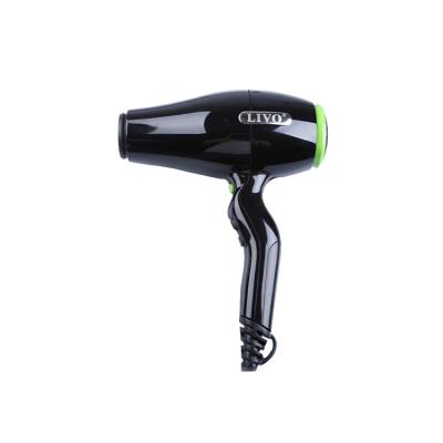 China Factory Supply Ionic Private Label Professional Salon Hot Price Hand Held Blow Dryer for sale