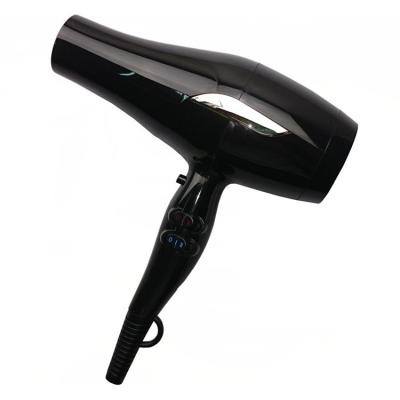 China New Ionic Type Bargain Price Professional Ionic Electric Hair Blow Dryers for sale