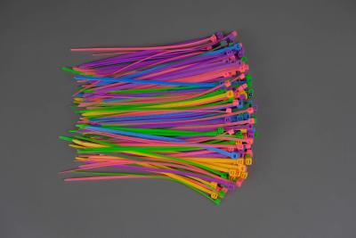 Cina Legami di nylon Pengikat Kabel dello zip del cavo di Pengikat di 12 serie che chiude zip a chiave in vendita