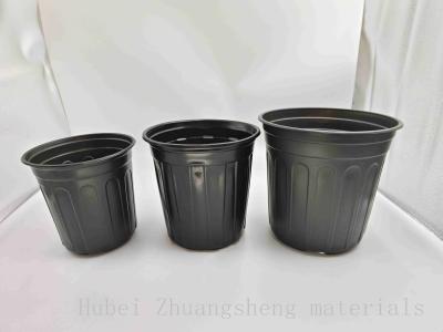 China Pote plástico negro BN210 de la planta de la serie 8 en venta