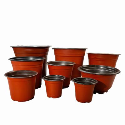 China Pote plástico rojo BN210 de la planta de la serie 3 en venta