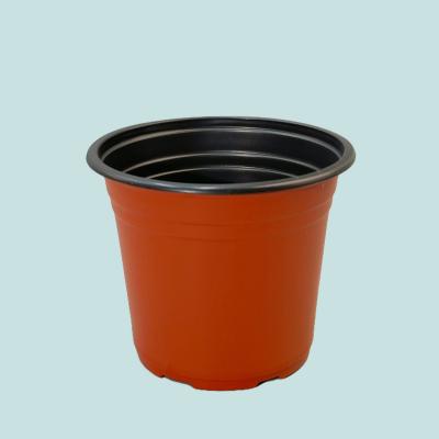 China Series 3 Red plastic plant pot BN210 en venta