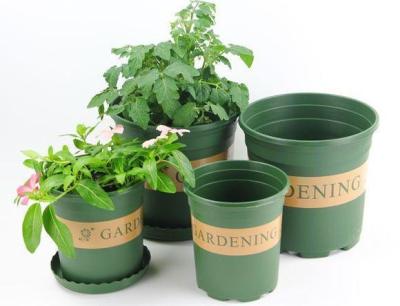 China Series 5 Green plstic plant pot 3 gallon for sale