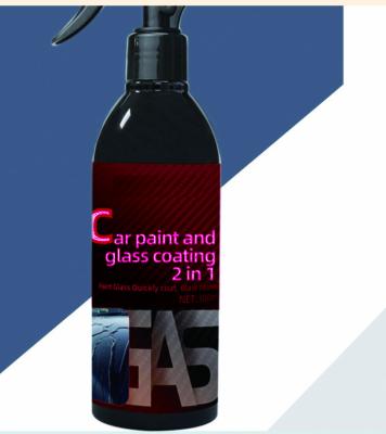 China car detailing products 300ml car paint & glass coating 2 in 1 nano polish maintenance coating glass polish coating for sale