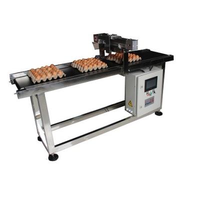 China Drucker des Tintenstrahl-400W Conveyor zu verkaufen