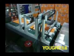 Horizontal Carton Feeder Machine Variable Frequency  Stainless Steel