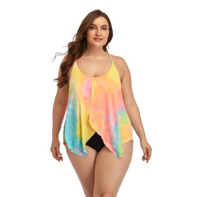 China Viable Women Rainbow Halter Swim Dress Plus Size Two Piece Tank Top Set Halter Swimsuit Beach Wear for sale